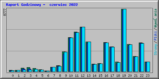 Raport Godzinowy -  czerwiec 2022