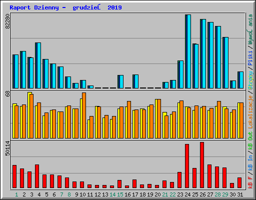 Raport Dzienny - grudzień 2019
