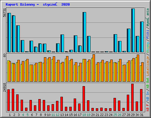 Raport Dzienny - styczeń 2020