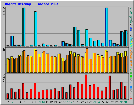 Raport Dzienny - marzec 2024