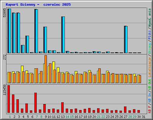 Raport Dzienny - czerwiec 2025