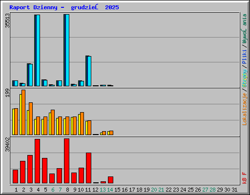 Raport Dzienny - grudzień 2025