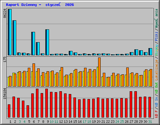 Raport Dzienny -  styczeń 2026