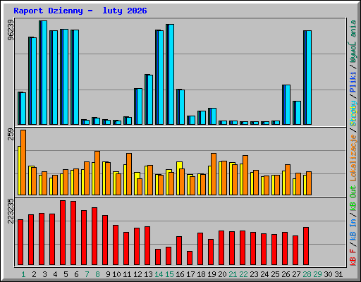 Raport Dzienny -  luty 2026