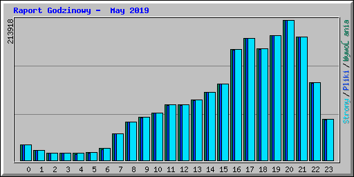 Raport Godzinowy - May 2019