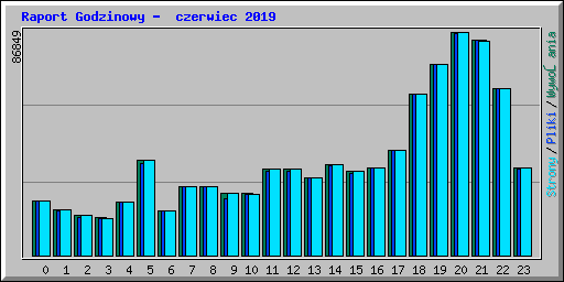 Raport Godzinowy - czerwiec 2019