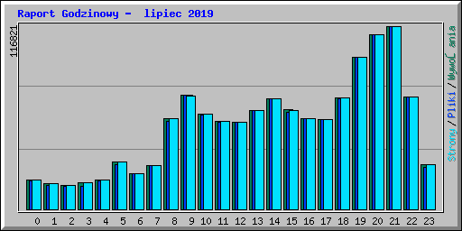 Raport Godzinowy - lipiec 2019