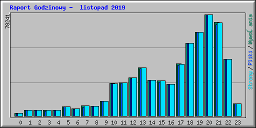Raport Godzinowy - listopad 2019