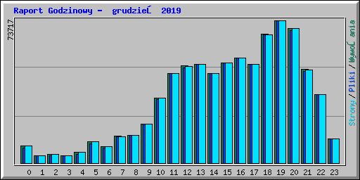 Raport Godzinowy - grudzień 2019