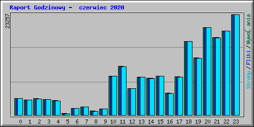 Raport Godzinowy - czerwiec 2020