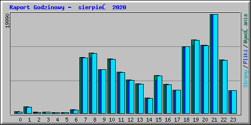 Raport Godzinowy - sierpień 2020