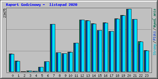 Raport Godzinowy - listopad 2020