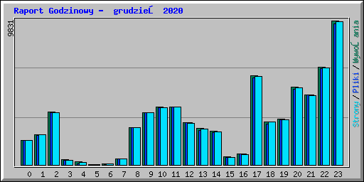 Raport Godzinowy - grudzień 2020