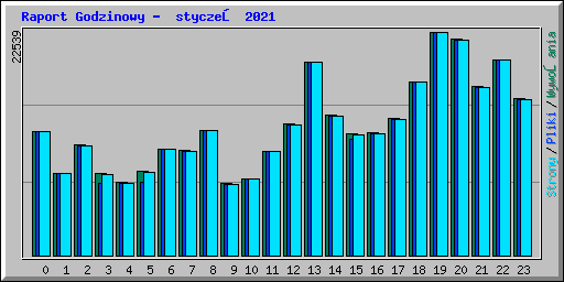 Raport Godzinowy - styczeń 2021