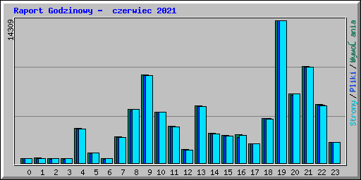 Raport Godzinowy - czerwiec 2021