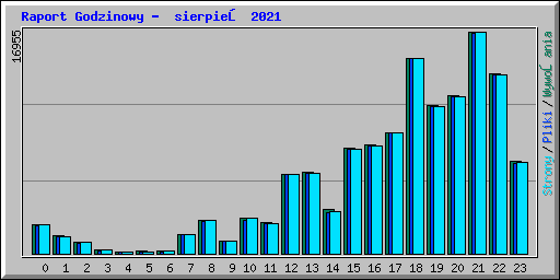 Raport Godzinowy - sierpień 2021