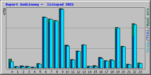 Raport Godzinowy - listopad 2021