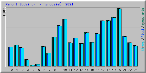 Raport Godzinowy - grudzień 2021