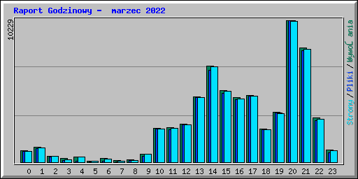 Raport Godzinowy - marzec 2022