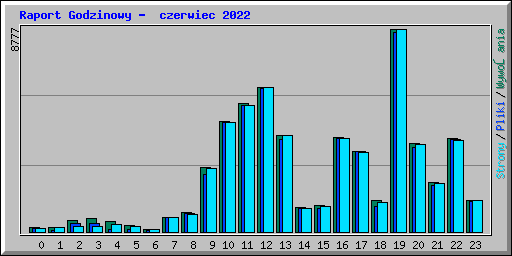 Raport Godzinowy - czerwiec 2022