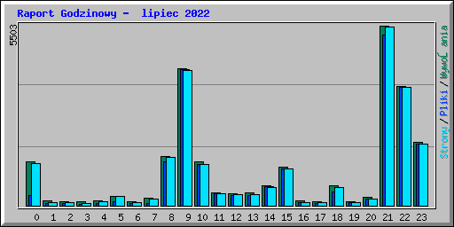 Raport Godzinowy - lipiec 2022