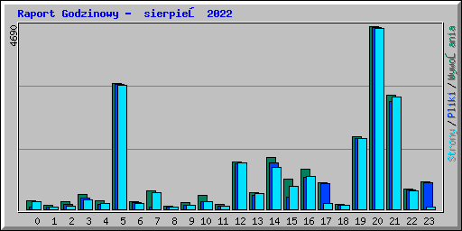 Raport Godzinowy - sierpień 2022