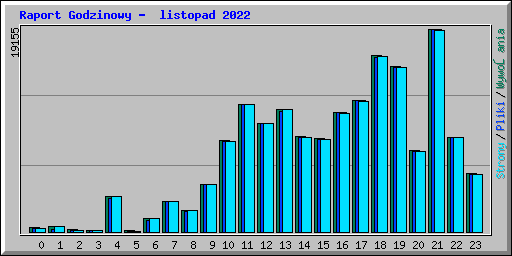 Raport Godzinowy - listopad 2022
