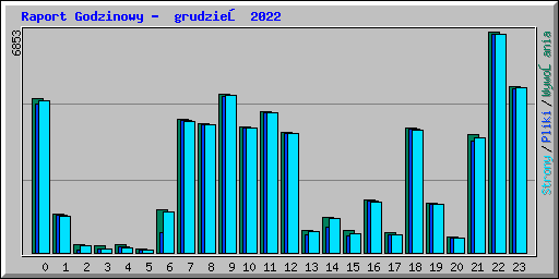 Raport Godzinowy - grudzień 2022