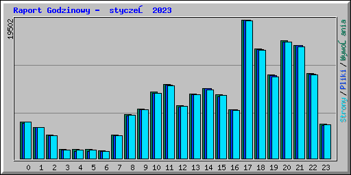 Raport Godzinowy - styczeń 2023