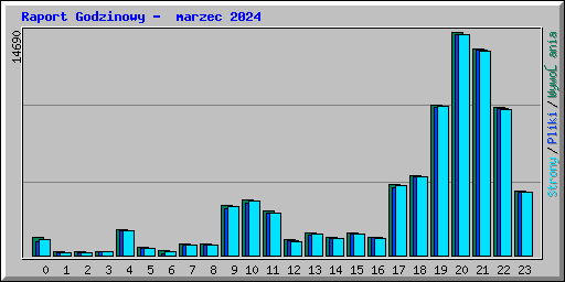 Raport Godzinowy - marzec 2024