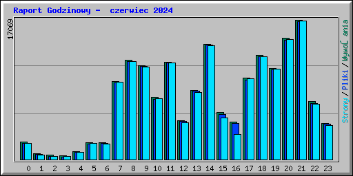 Raport Godzinowy - czerwiec 2024