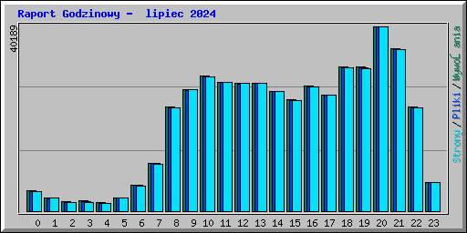 Raport Godzinowy - lipiec 2024