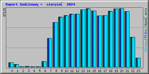 Raport Godzinowy - sierpień 2024