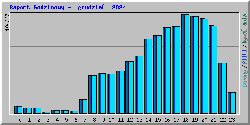 Raport Godzinowy - grudzień 2024