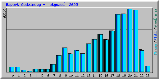 Raport Godzinowy - styczeń 2025