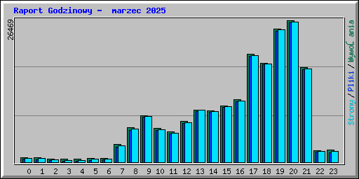 Raport Godzinowy - marzec 2025