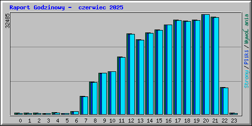 Raport Godzinowy - czerwiec 2025
