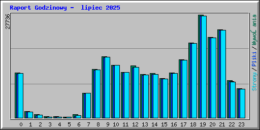 Raport Godzinowy - lipiec 2025