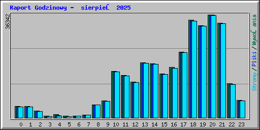 Raport Godzinowy - sierpień 2025