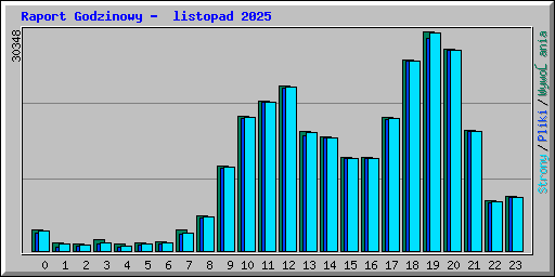 Raport Godzinowy - listopad 2025