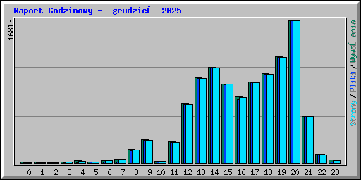 Raport Godzinowy - grudzień 2025