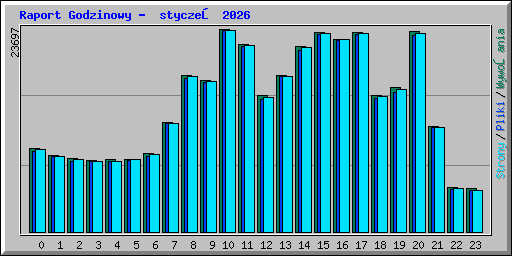 Raport Godzinowy -  styczeń 2026